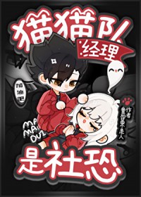 [����] èè�Ӿ��������