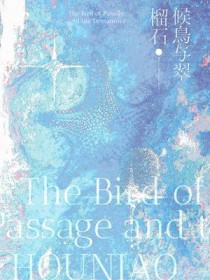 ���������ʯ