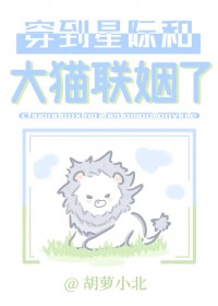 �����Ǽʺʹ�è������