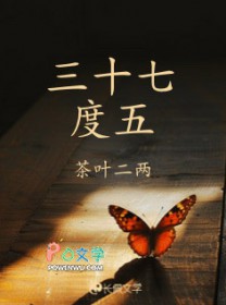 ��ʮ�߶���