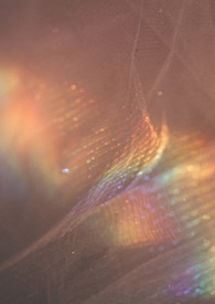 Ů����(Ů��nph)