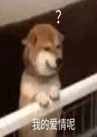 ��Ĭ�ĸ���