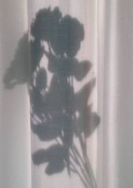 ������ЧӦ