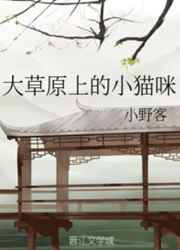 ���ԭ�ϵ�Сè�� ���+����