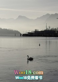 BTS�����������ҵĺ����Z(ALL��)