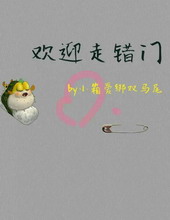 ��ӭ�ߴ���