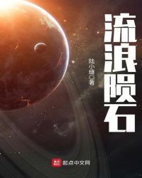 ������ʯ