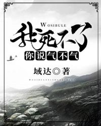 ����������˵������