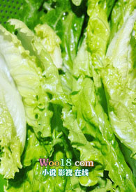 �ݼ�����ȷ���ã���1V1ע�⣩