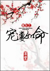 ����֮��������