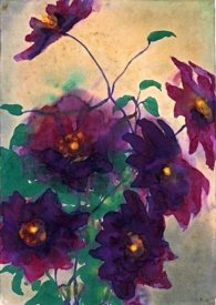 ���������ѣ�H��