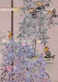 ���ߣ�np��