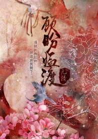 �����ٶ�