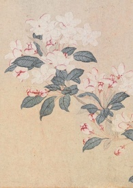 ߢ��ɫ��ǿȡ�����h��